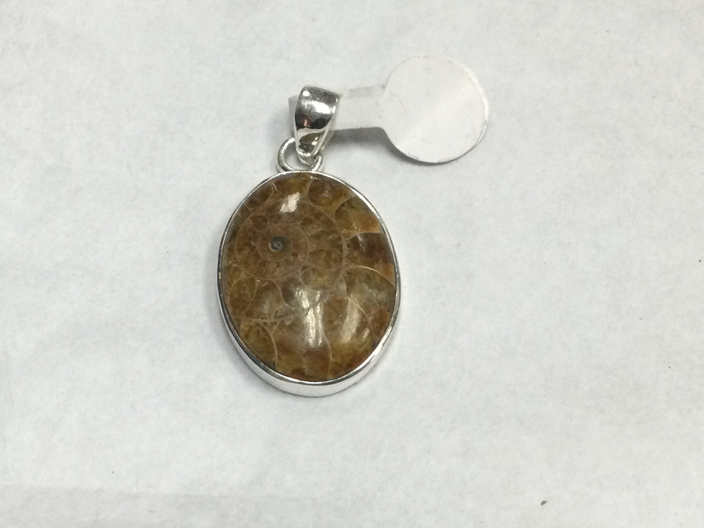 Simple Ammonite Shell Pendant