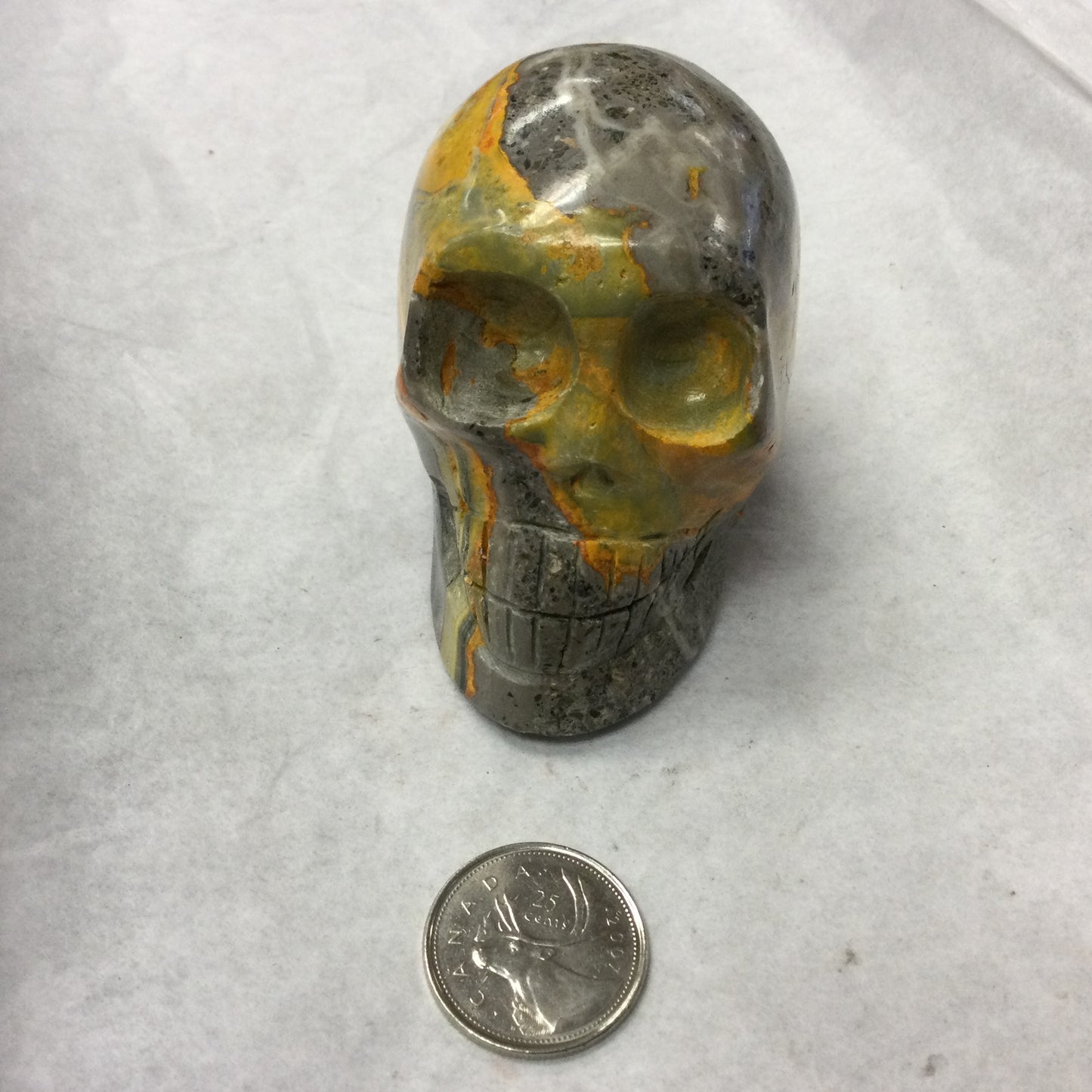 Bumblebee Jasper Skull