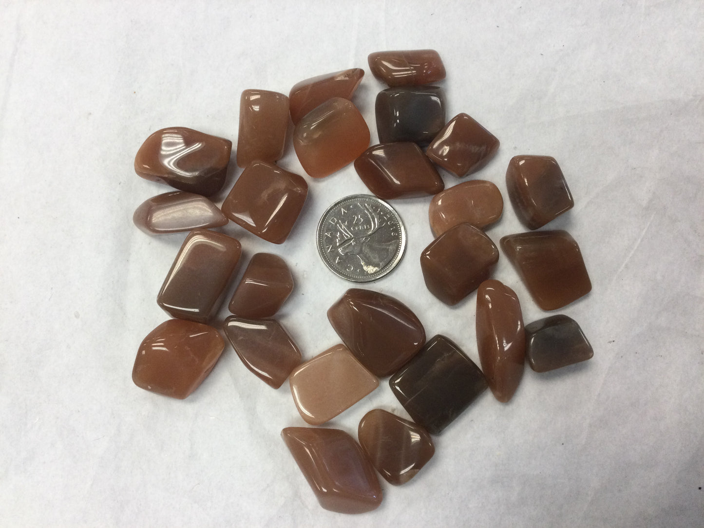 Chestnut Moonstone, tumbled