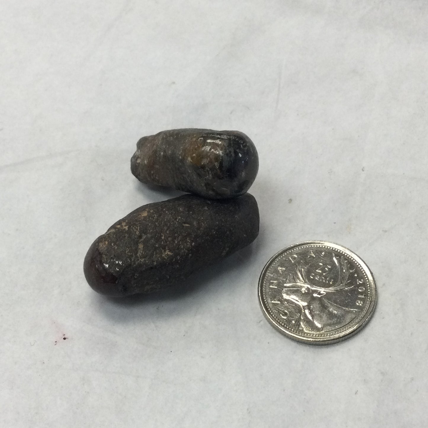 Polished Top Ruby Mini Rods