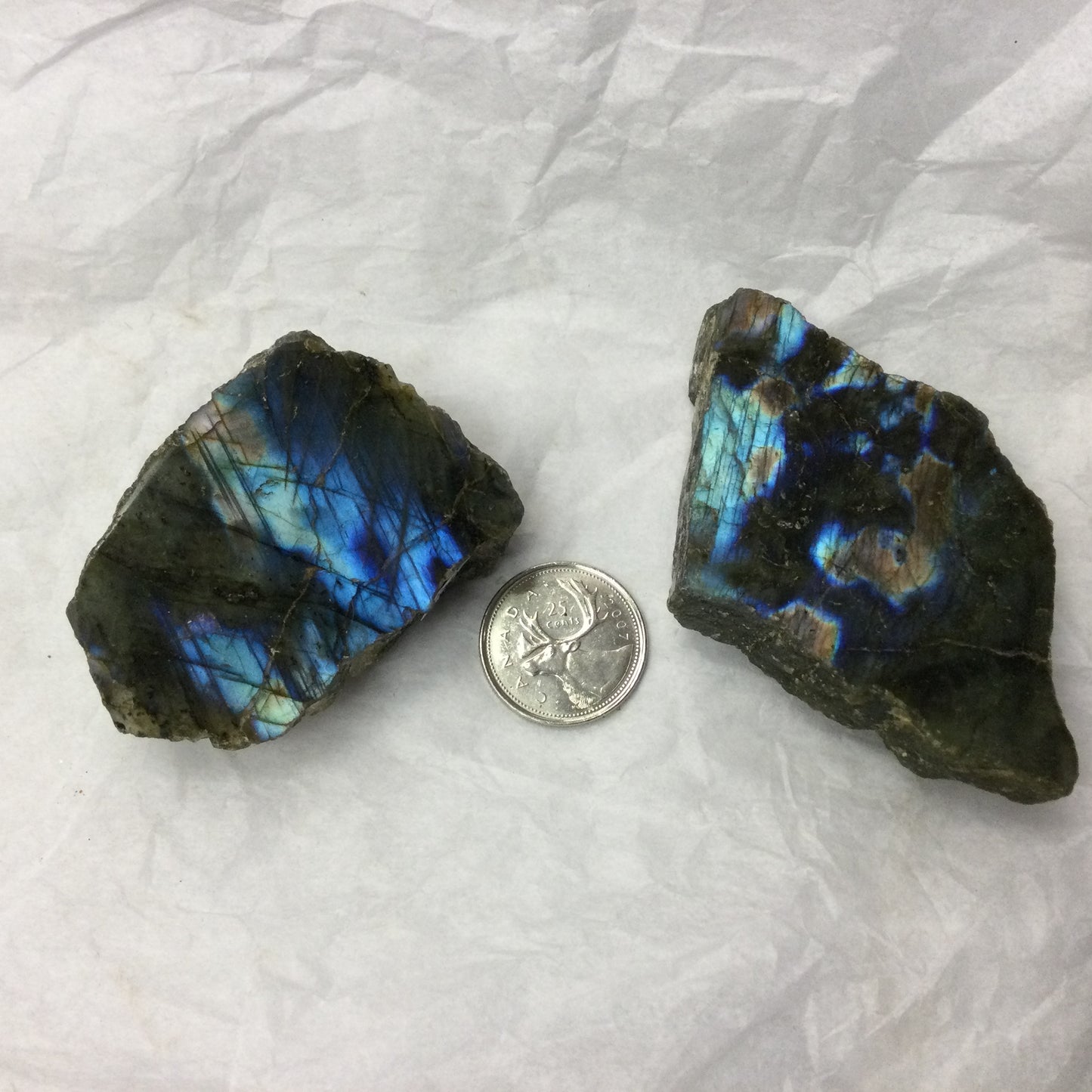 Semi-polished Labradorite Slabs