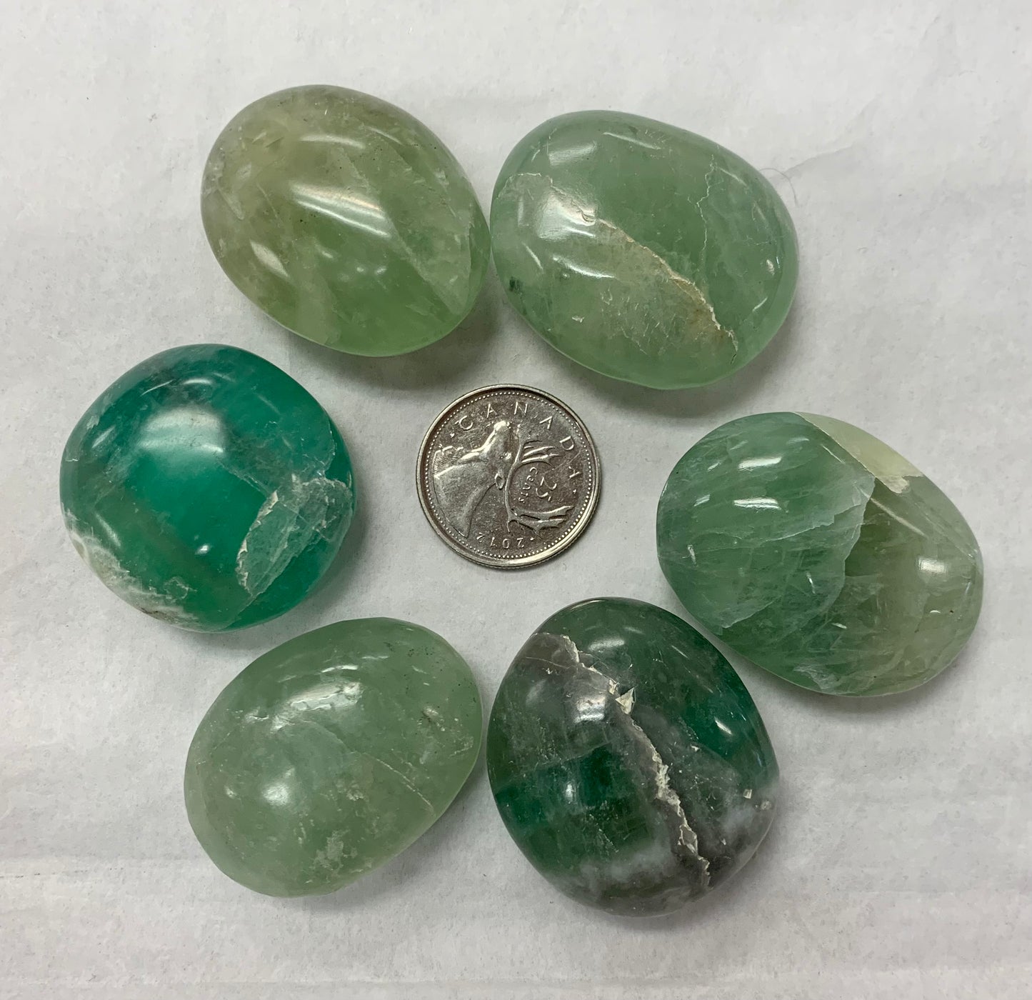 Semi Palm Stone Fluorite