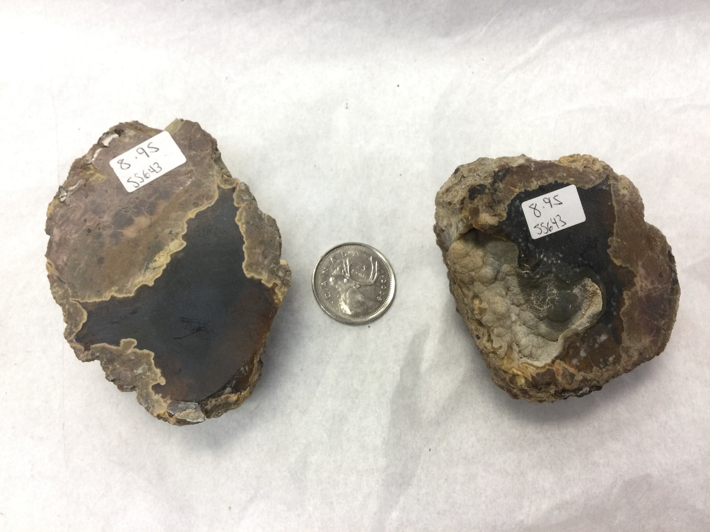 Thunder Egg Halves (Oregon)