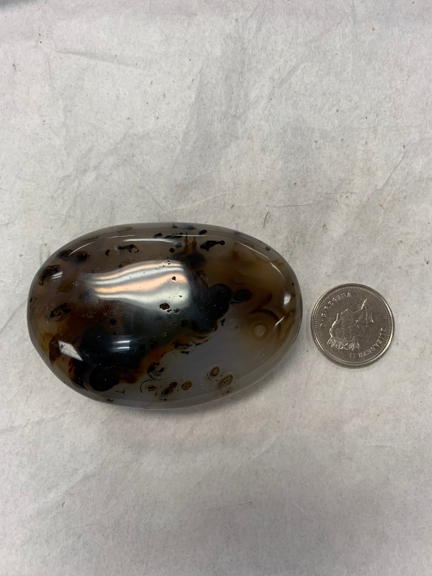 Dendritic Agate Palm Stone