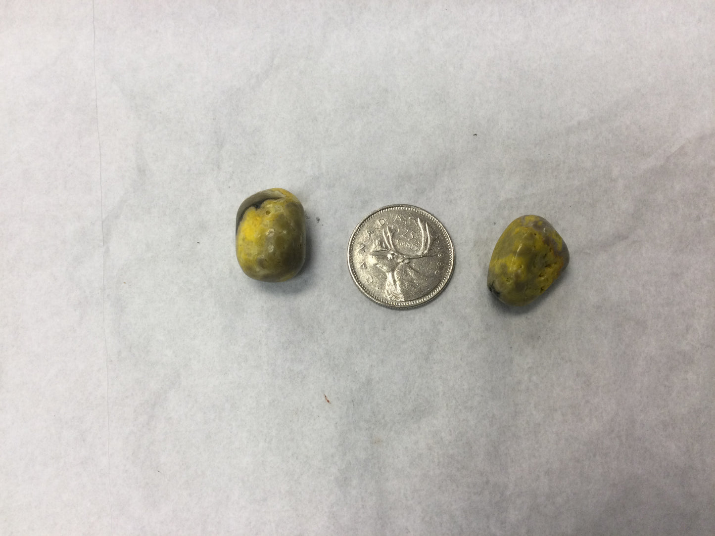 Bumblebee Jasper (High Grade)