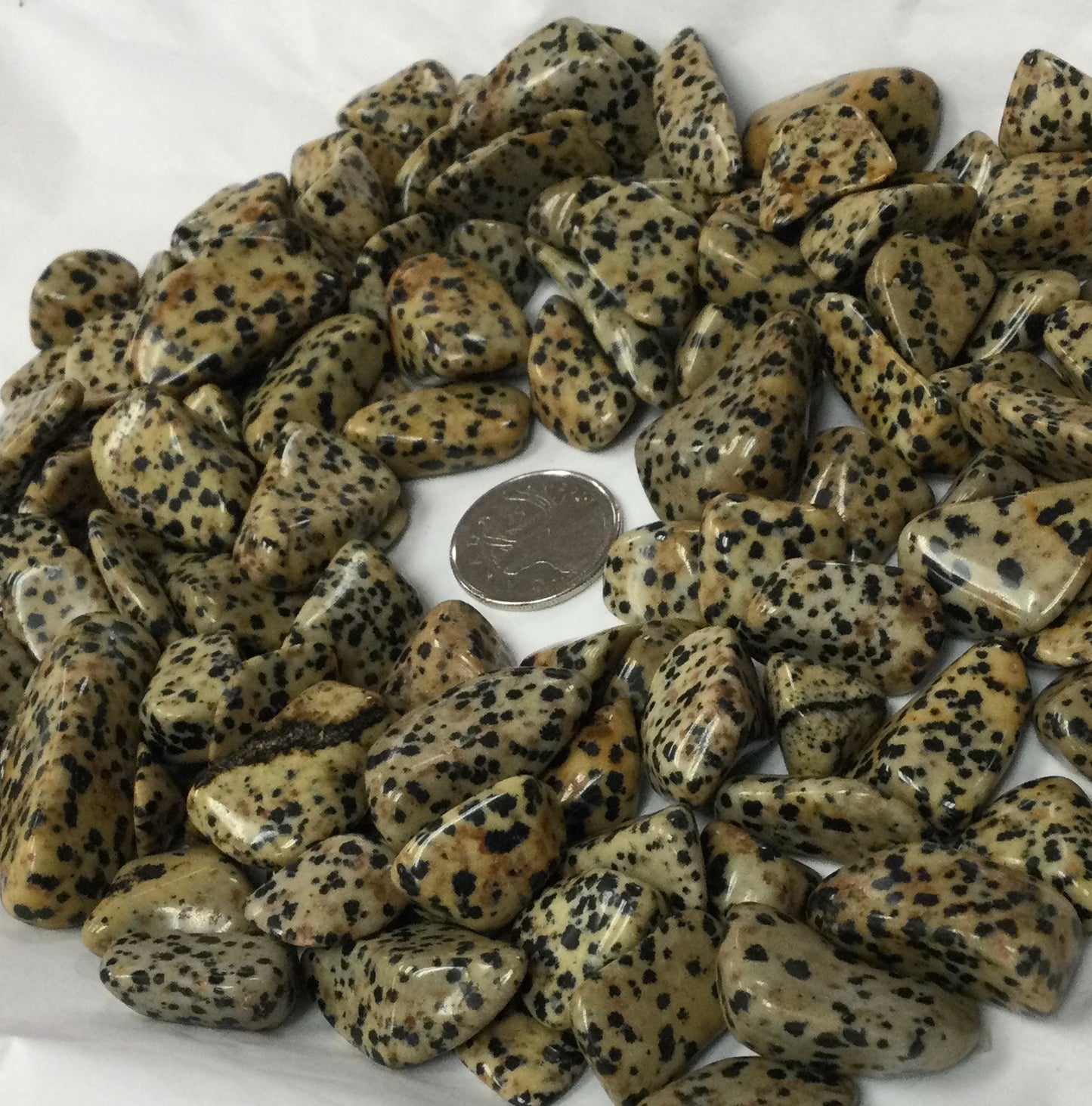 Dalmatian Jasper Tumbled