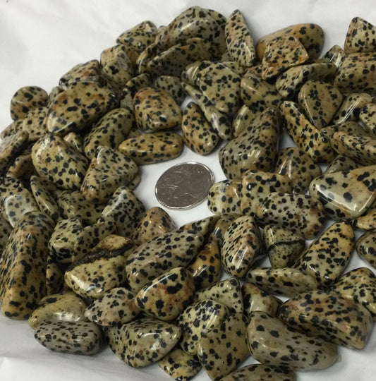 Dalmatian Jasper Tumbled