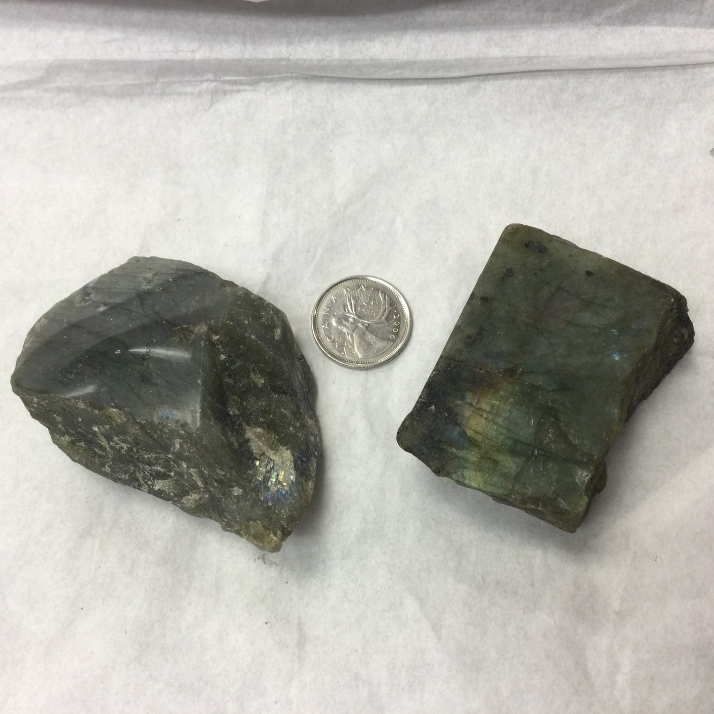 Semi-polished Labradorite Slabs