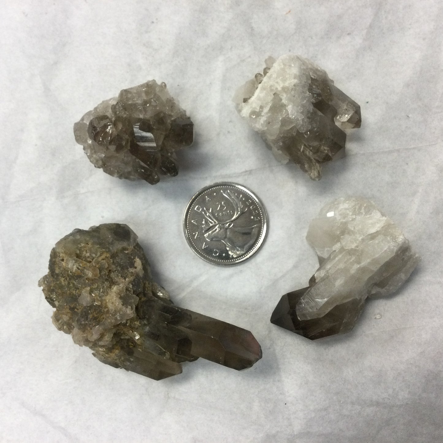 Rough Smoky Quartz Clusters