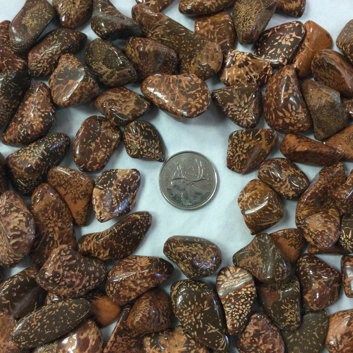 Starburst Jasper Tumbles