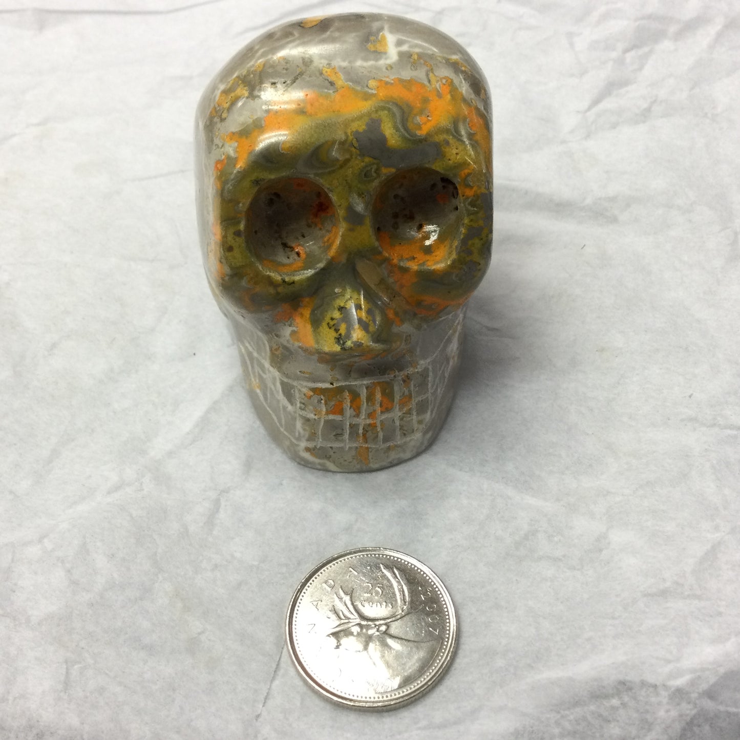 Bumblebee Jasper Skull