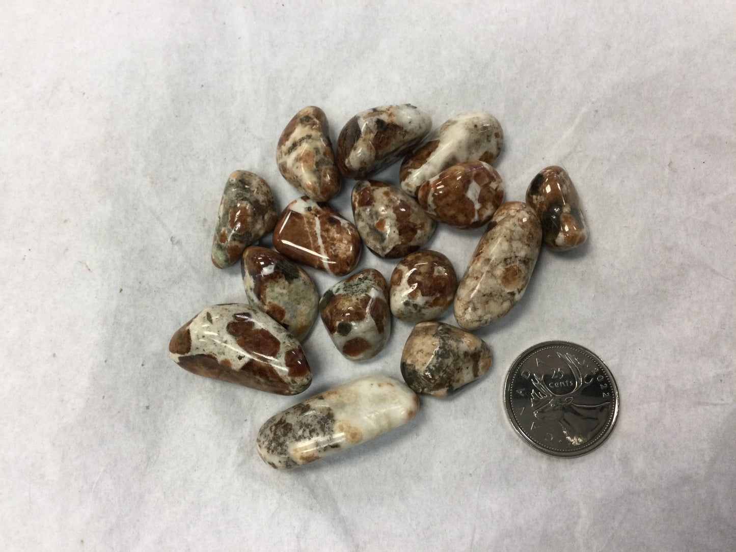 garnet in feldspar