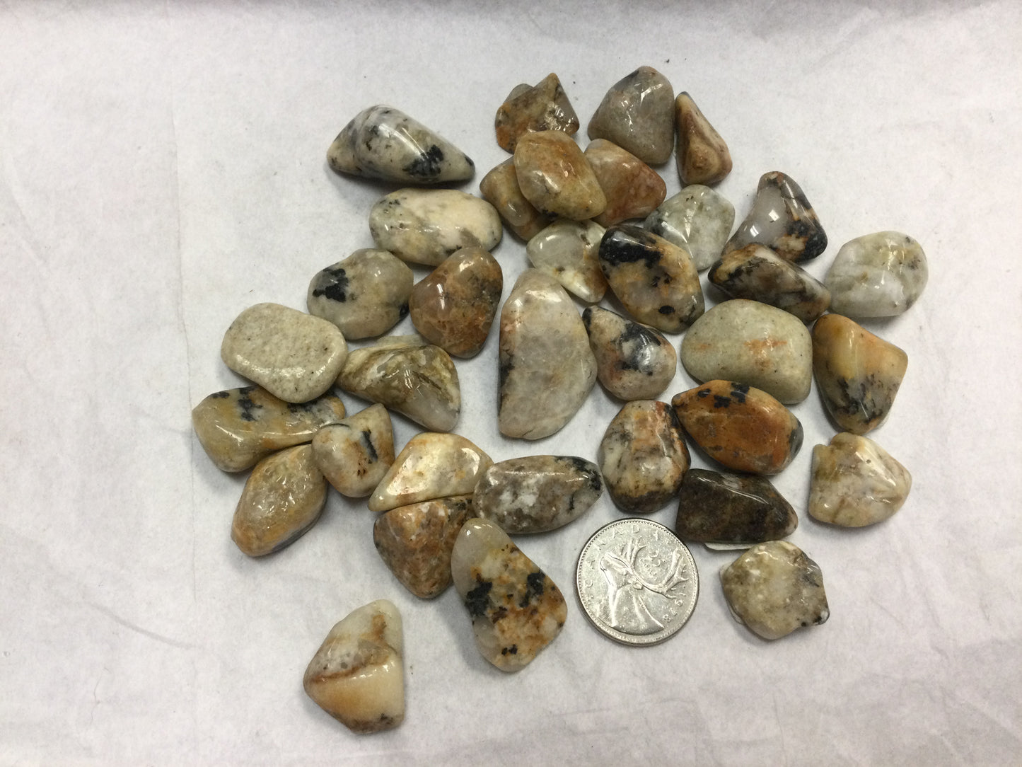 Cassiterite