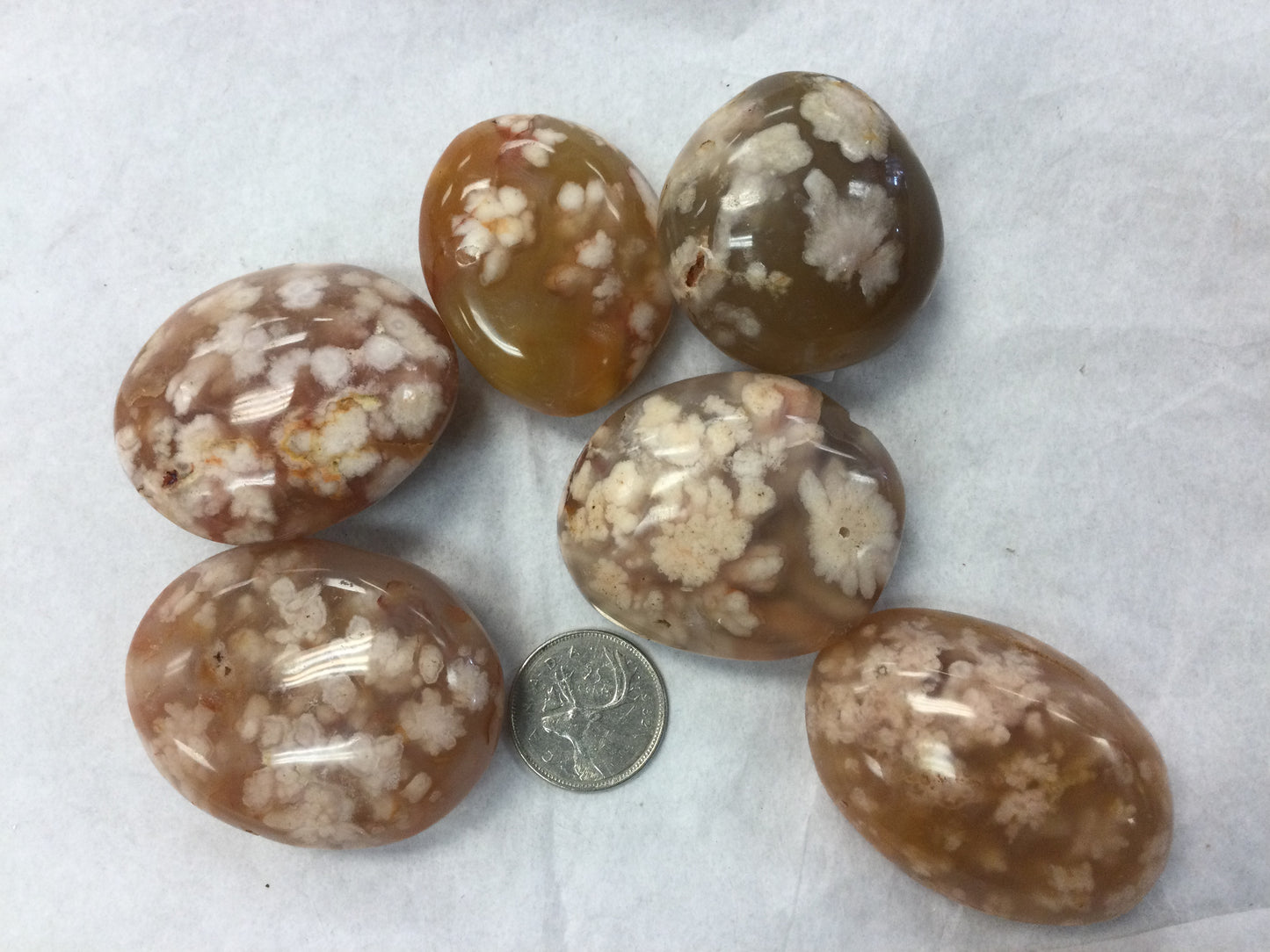 Flower Agate Palm Stones