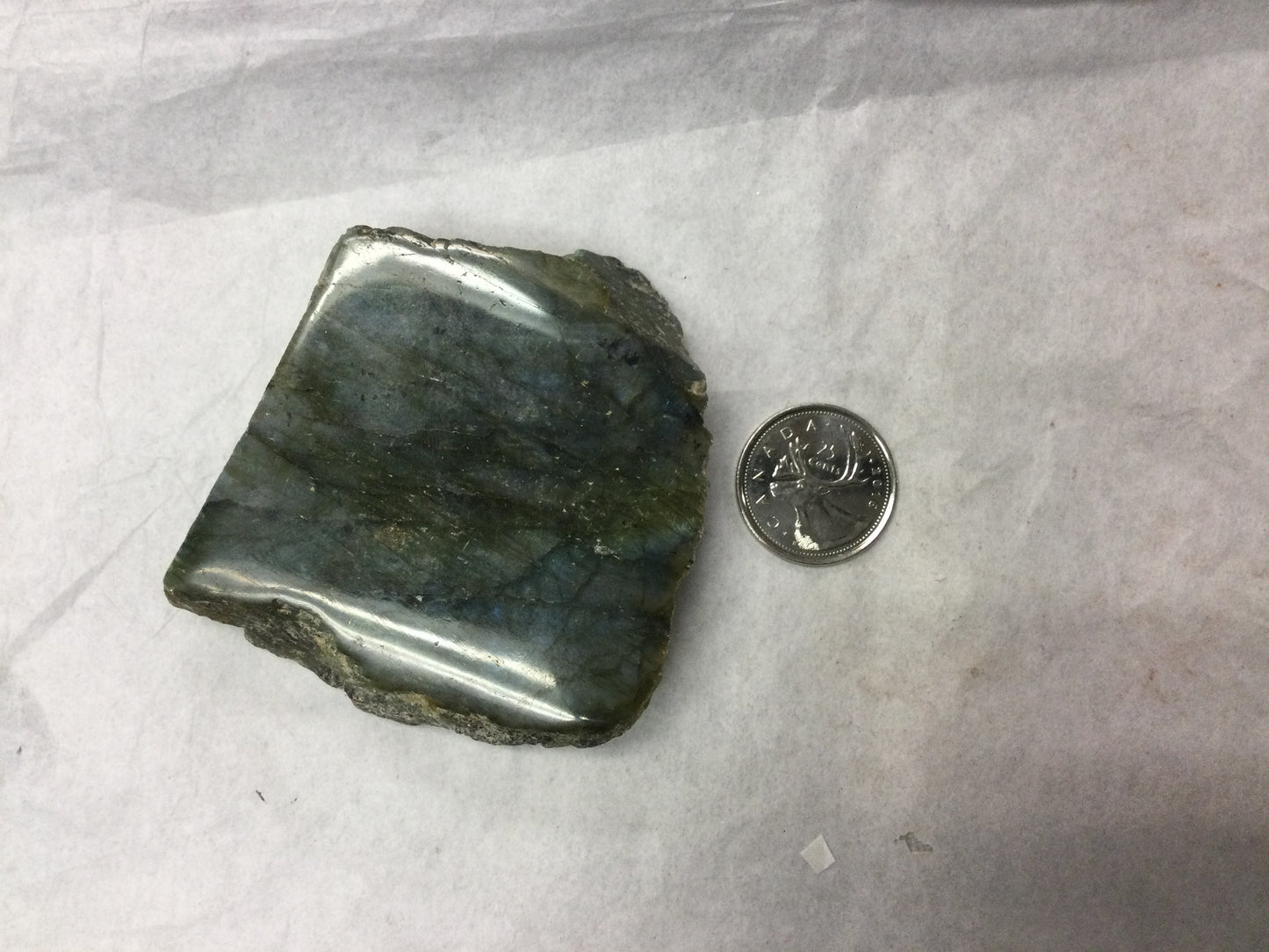 Semi-polished Labradorite Slabs