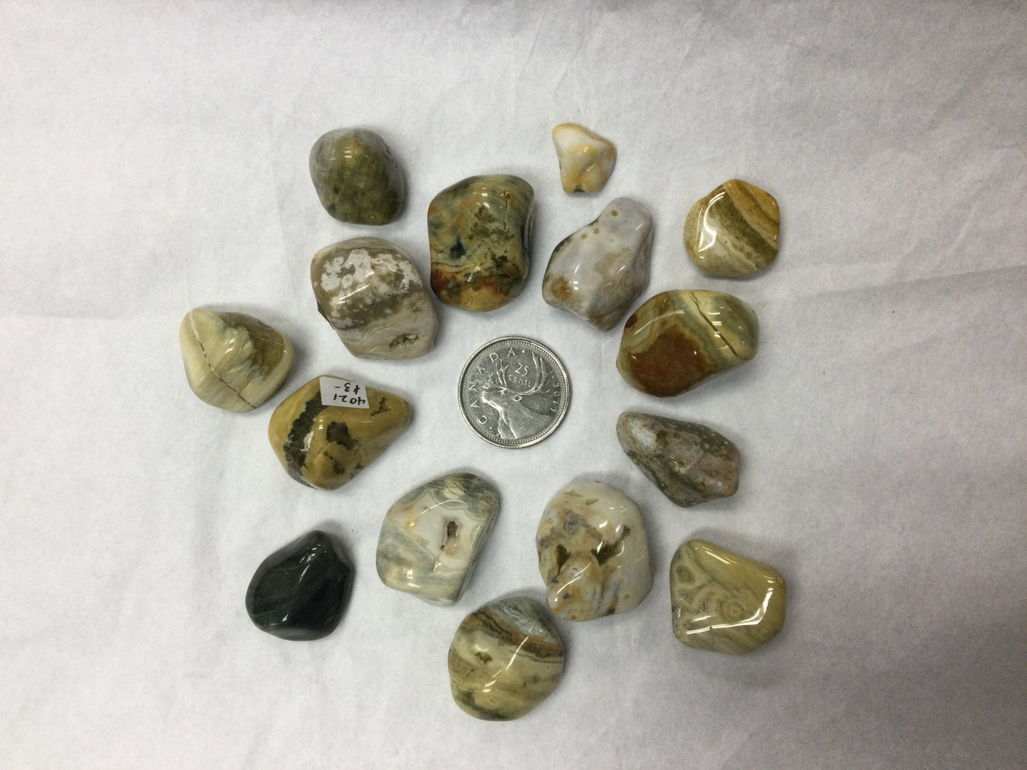 Orbicular Jasper Tumbled