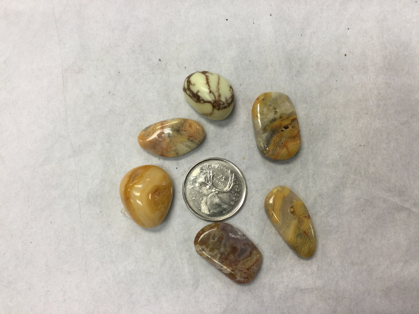 Crazy Lace Agate sm. Slab/ Polished