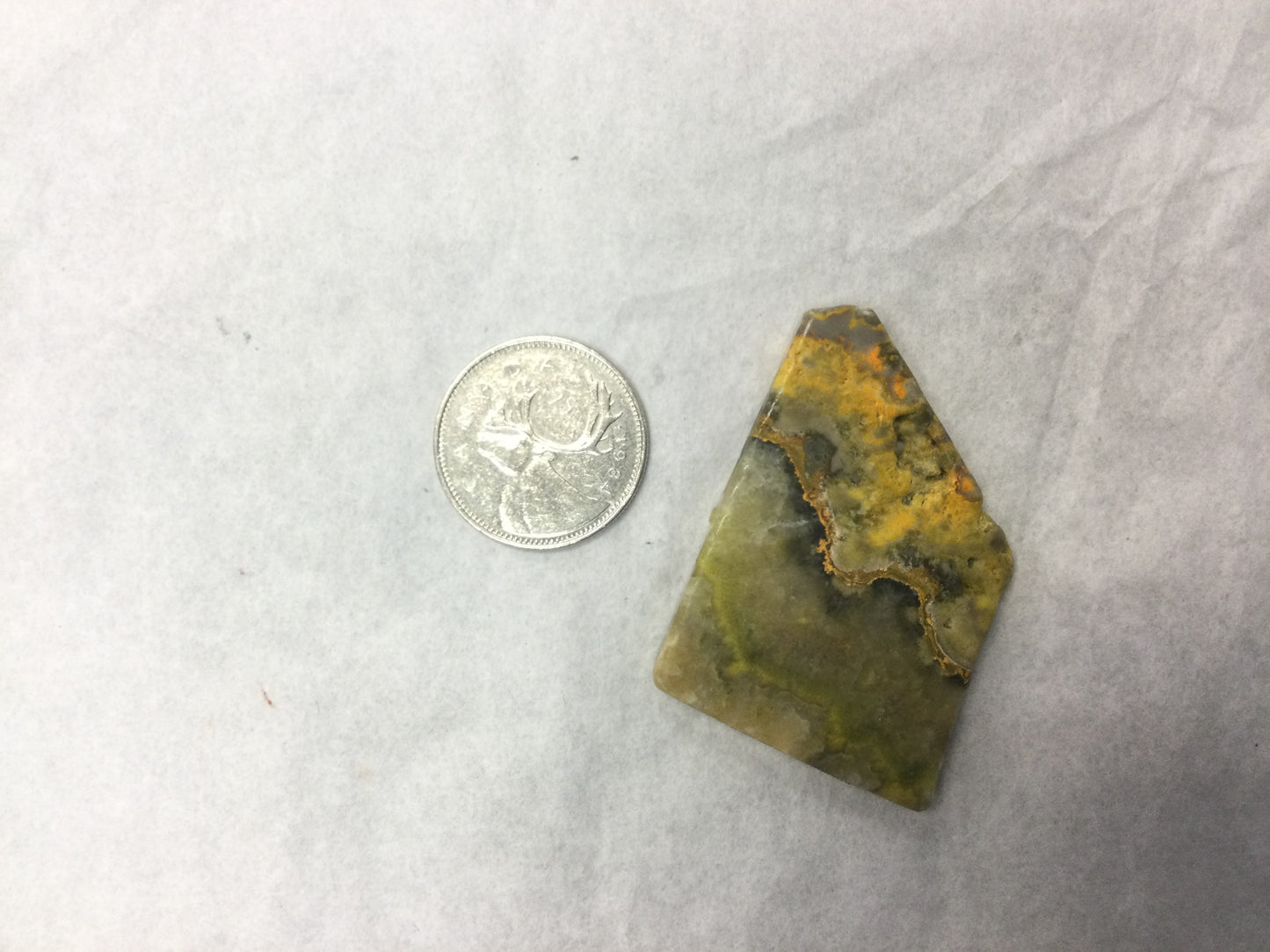 Bumblebee Jasper Slab Large