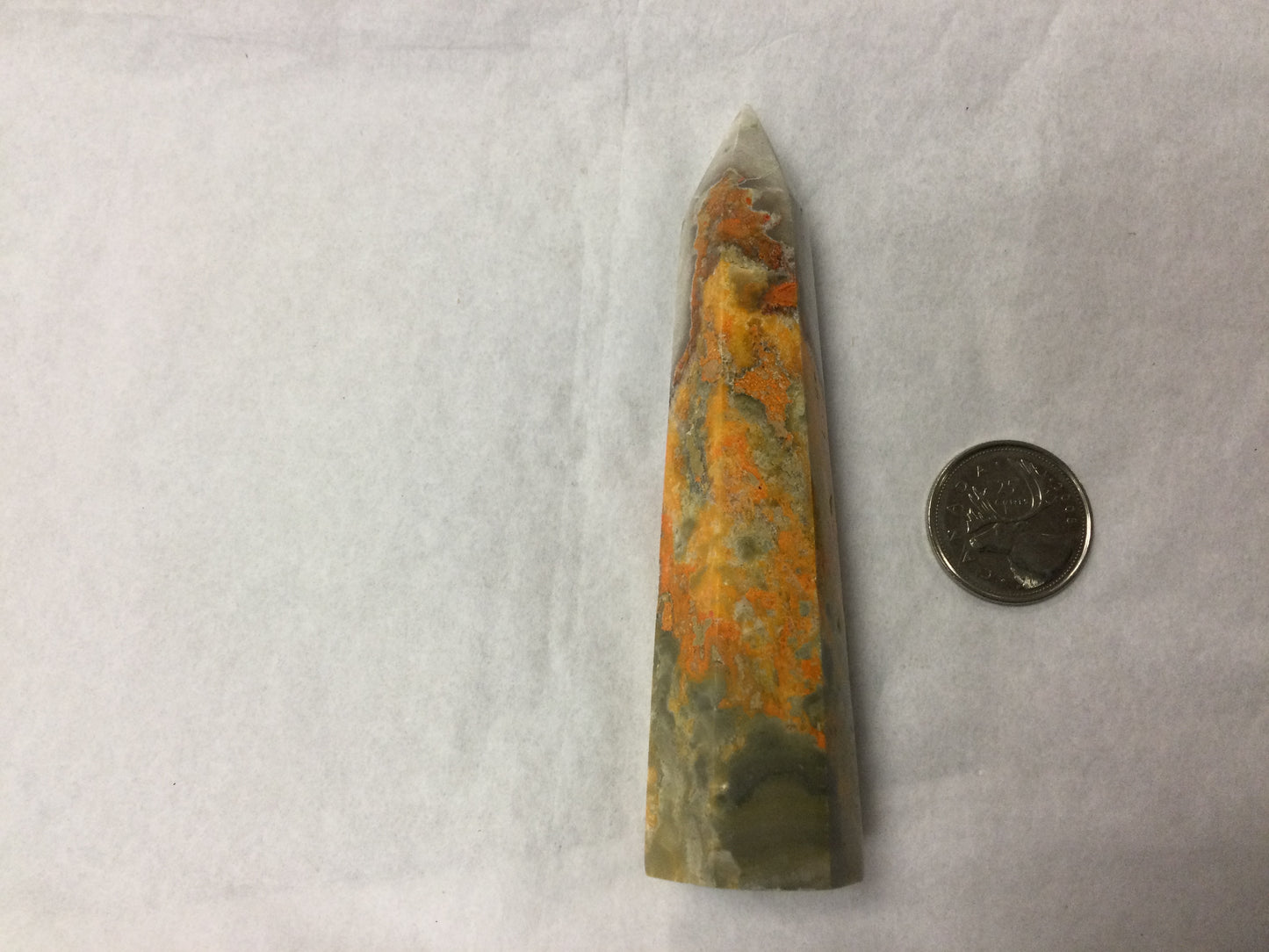 Bumblebee Jasper Point