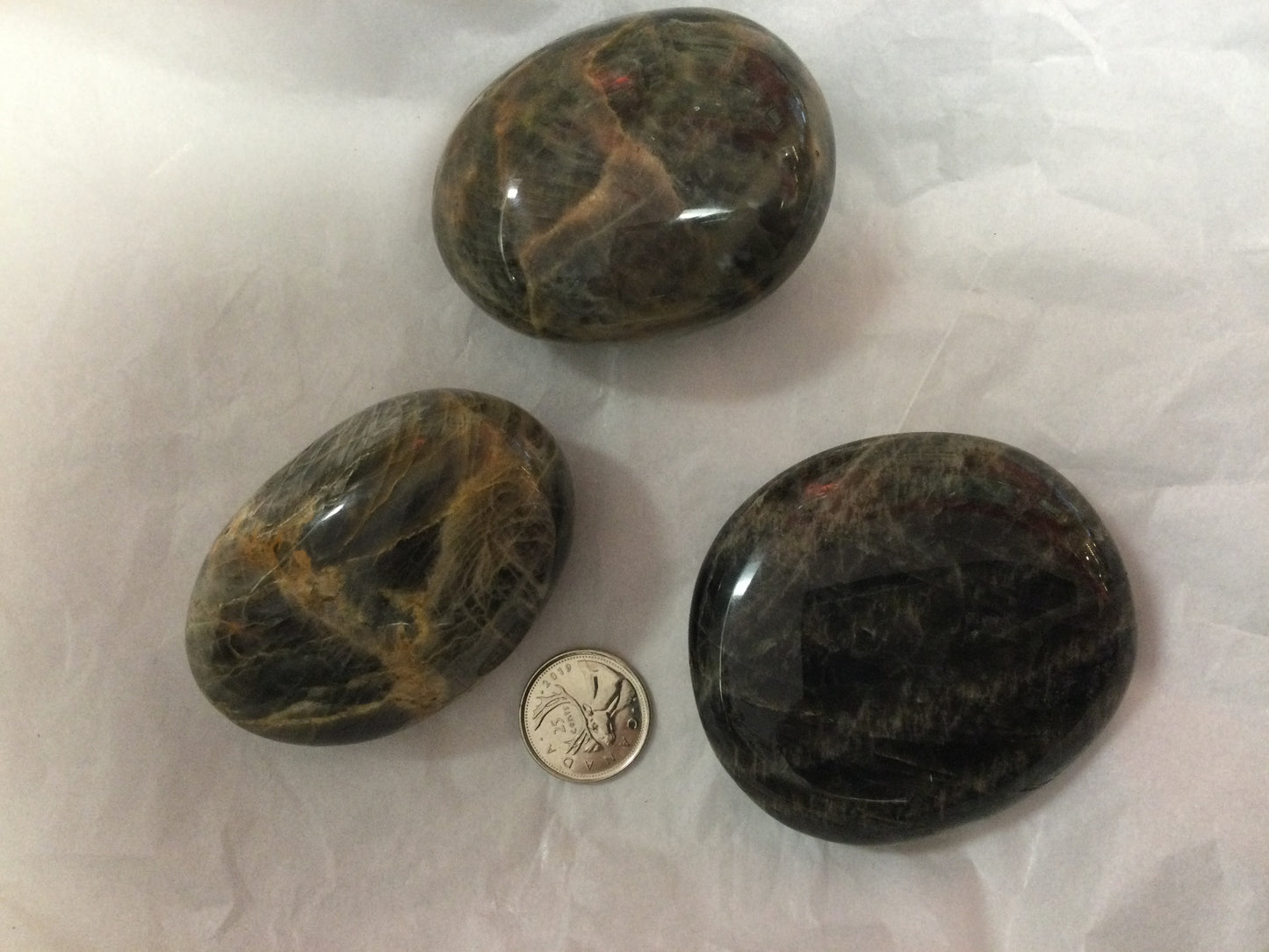 Black Moonstone Palm Stone