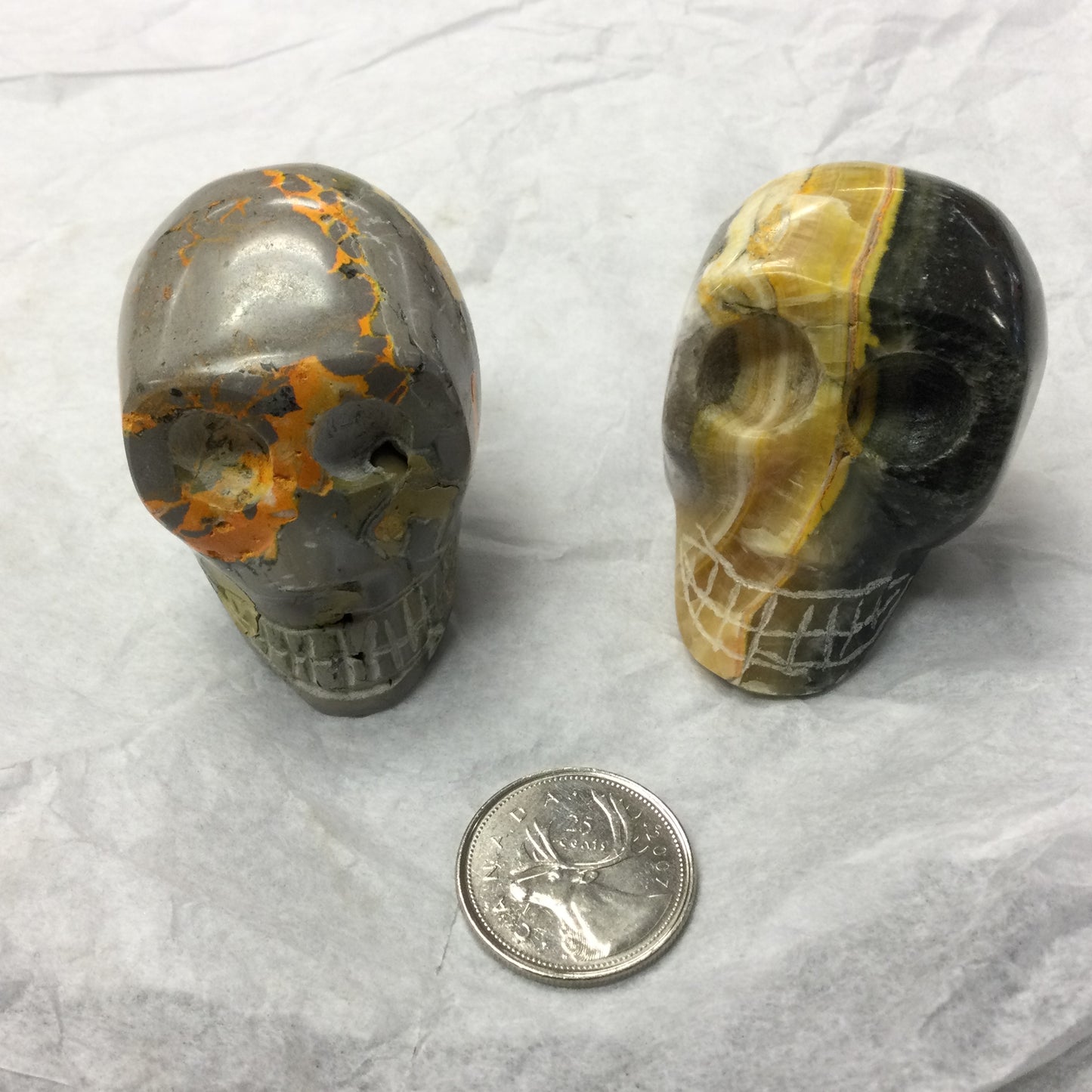 Bumblebee Jasper Skull