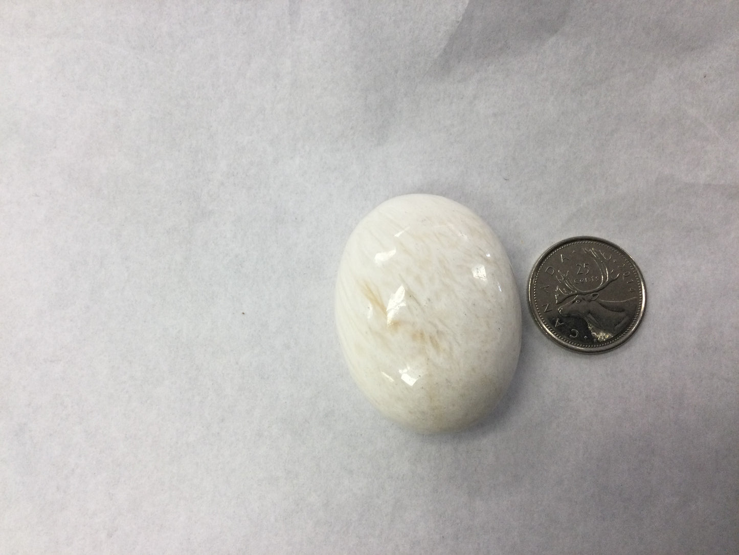 Scolecite Palm Stone