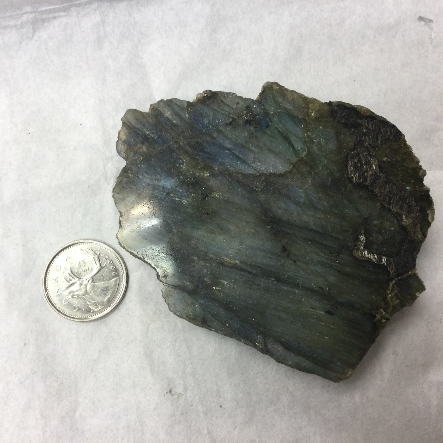 Semi-polished Labradorite Slabs