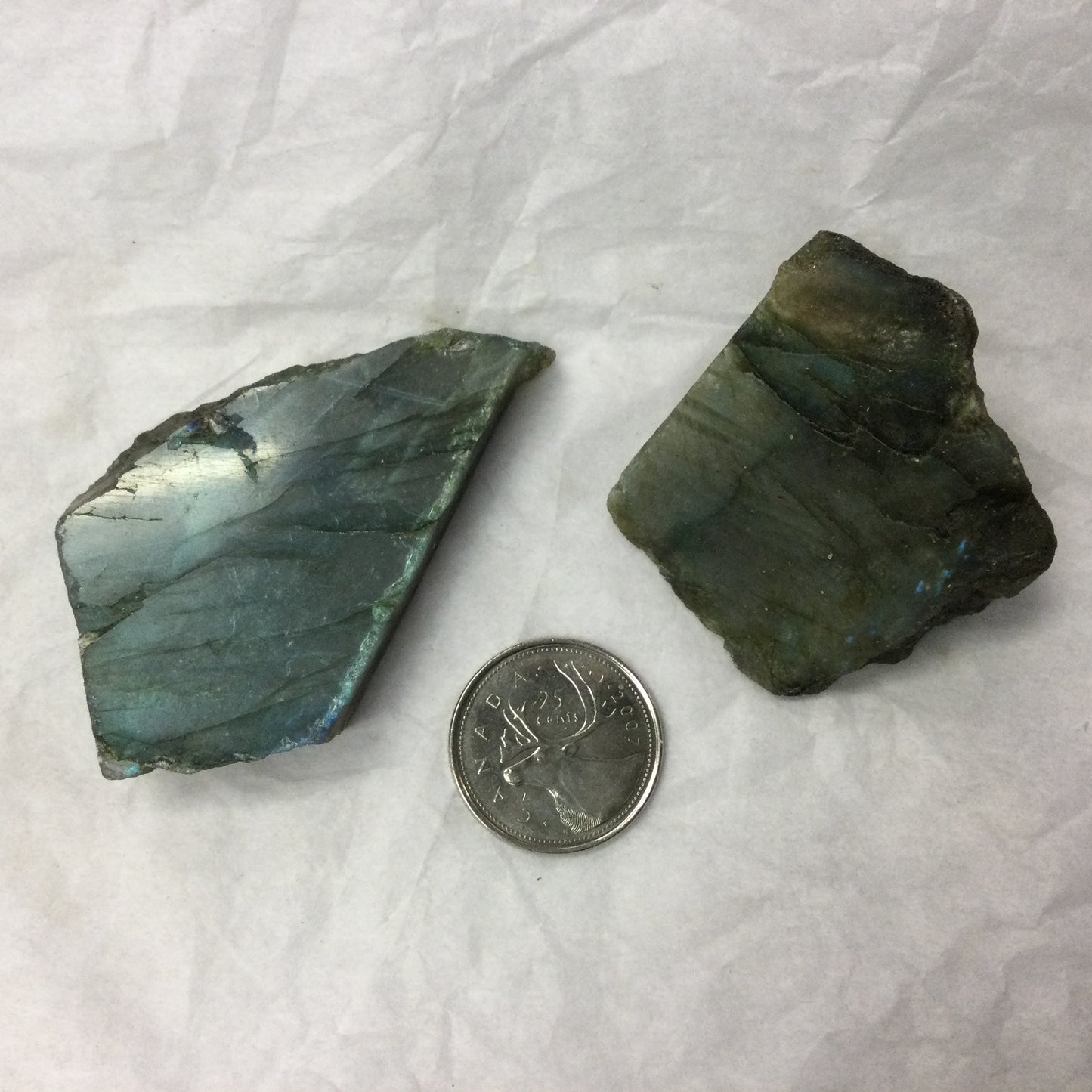 Semi-polished Labradorite Slabs