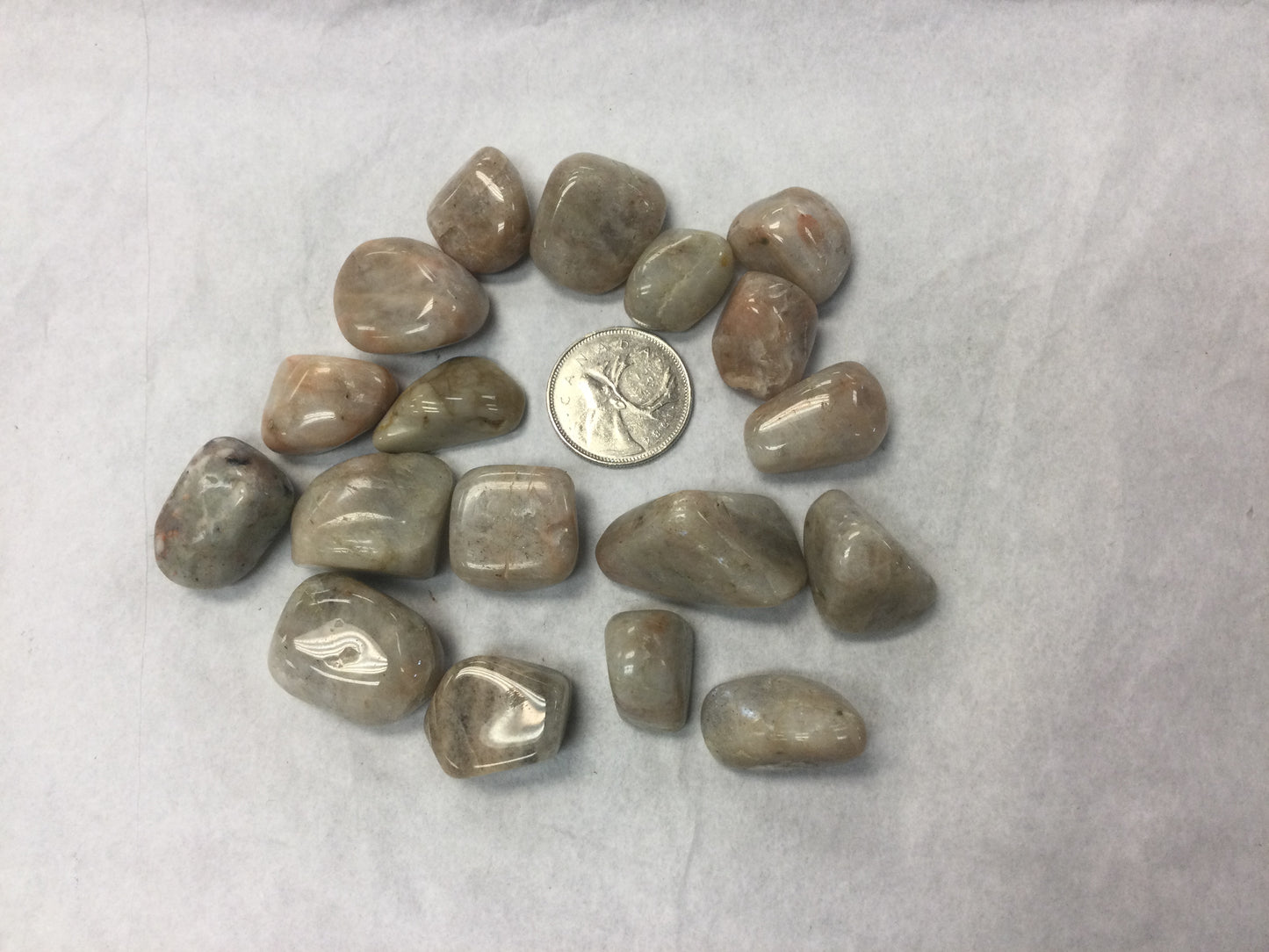 Peristerite (Ontario Moonstone)