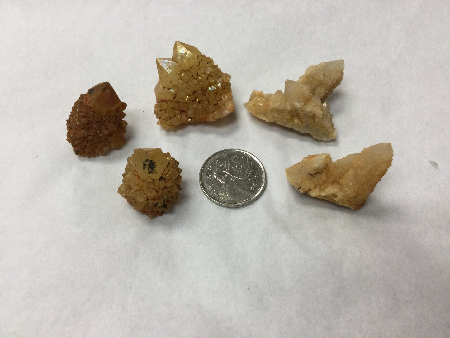 Cactus Citrine (Spirit Quartz)