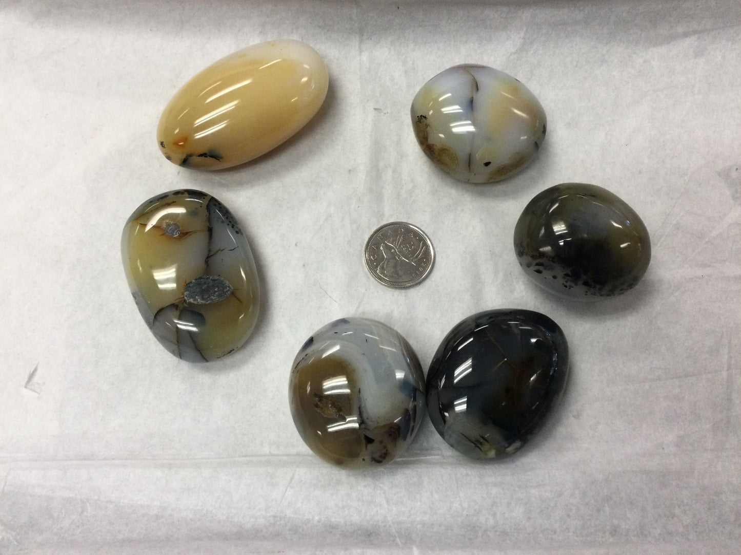 Dendritic Agate Palm Stone