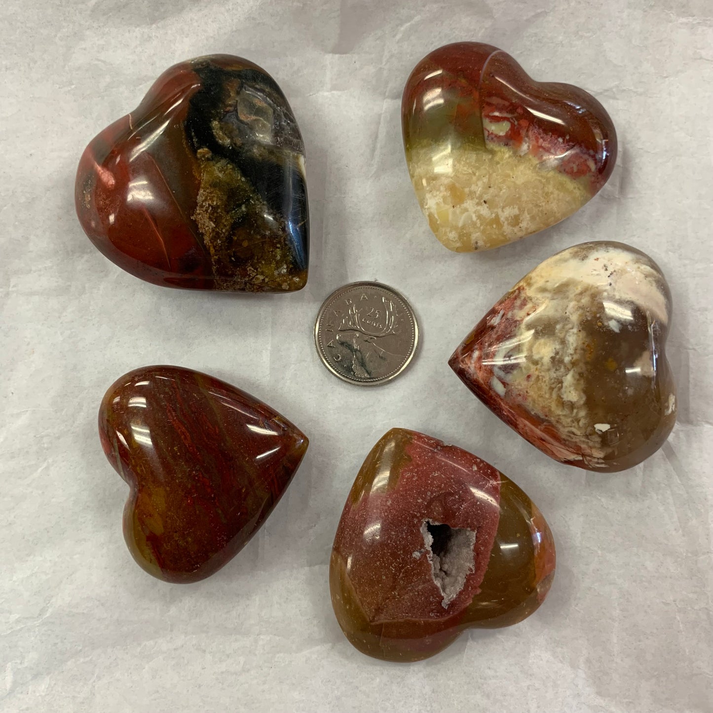 Petrified Wood Heart