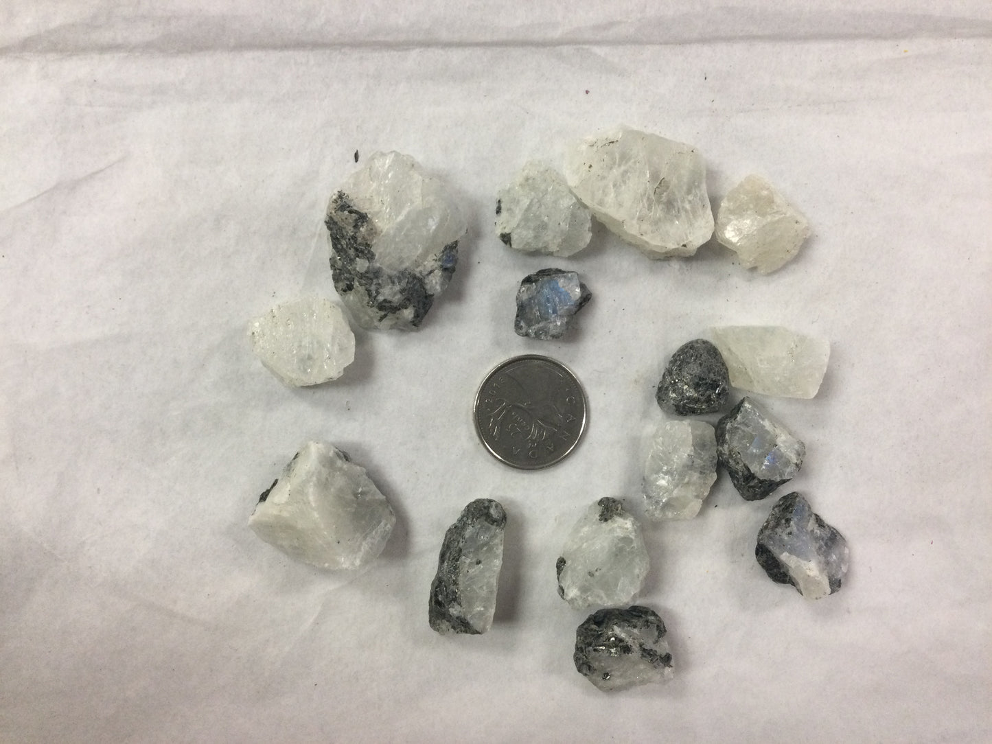 Small Moonstone rough