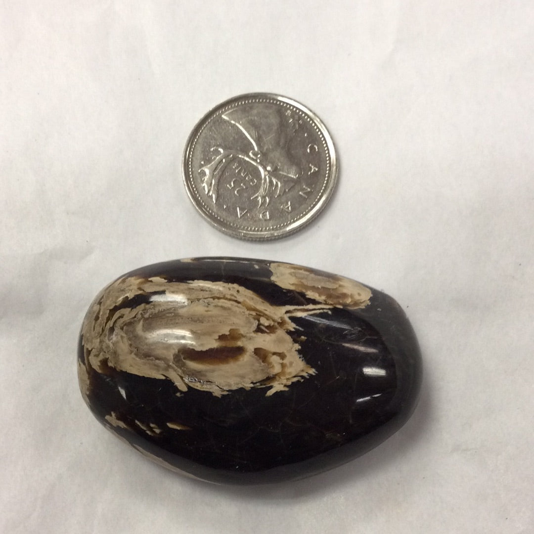 Tumbled Amber