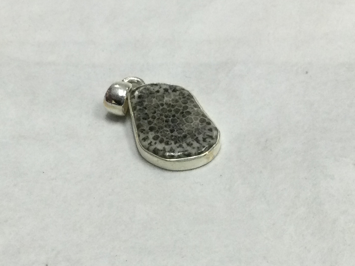 Unique Fossilized Stingray Coral Pendant
