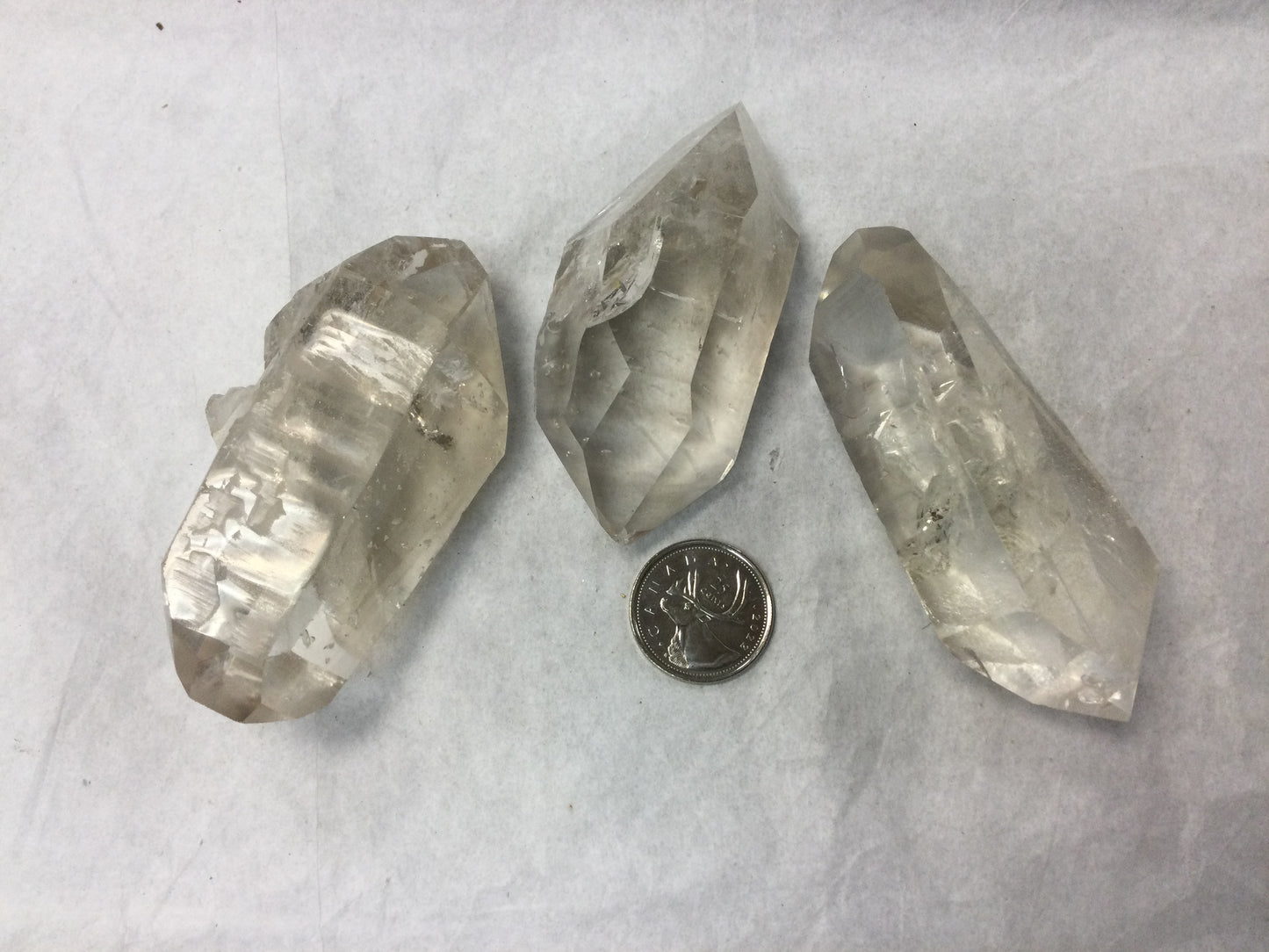 Double Pointed Lemurians