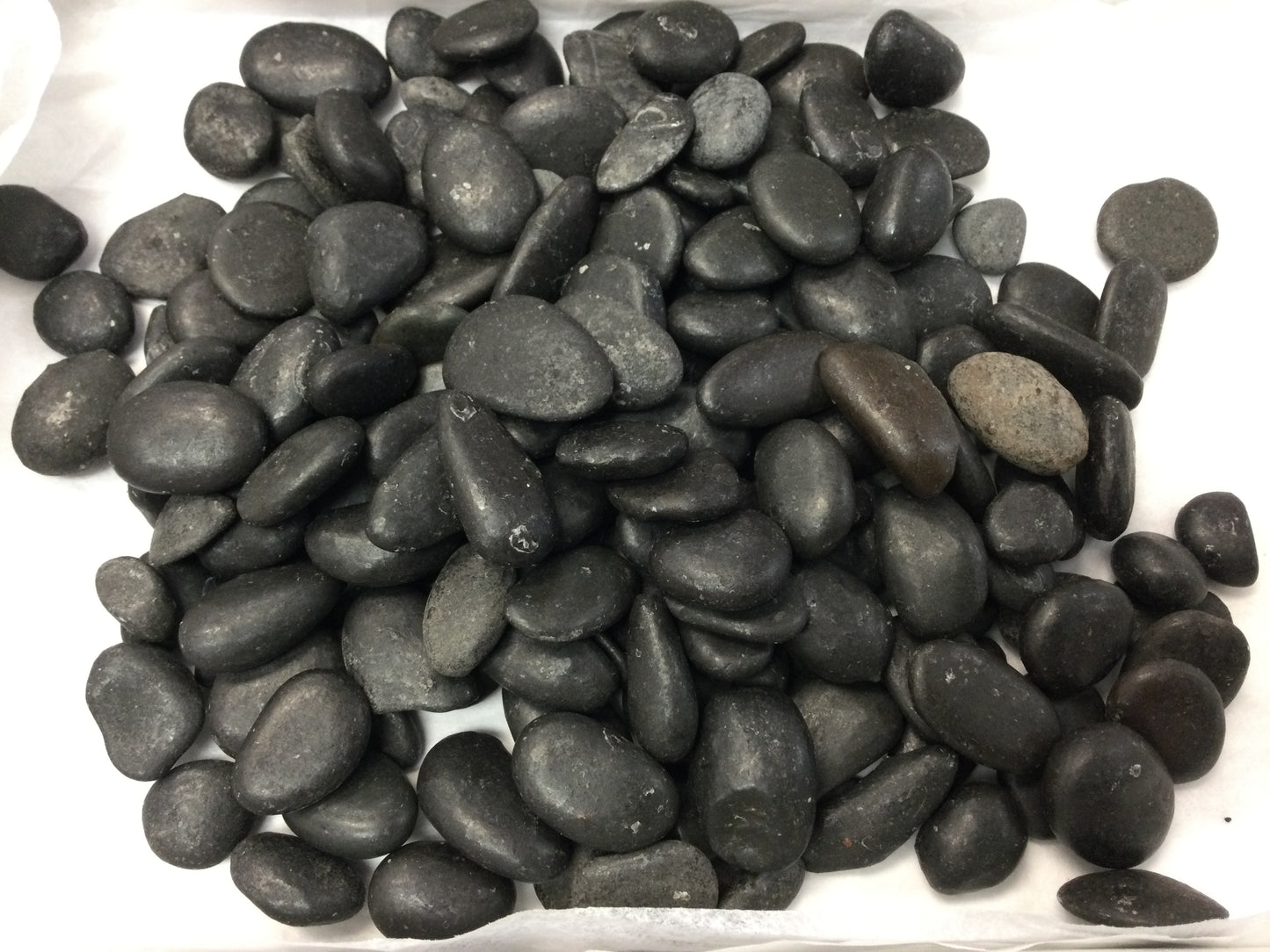Bag of River Stones (for display)