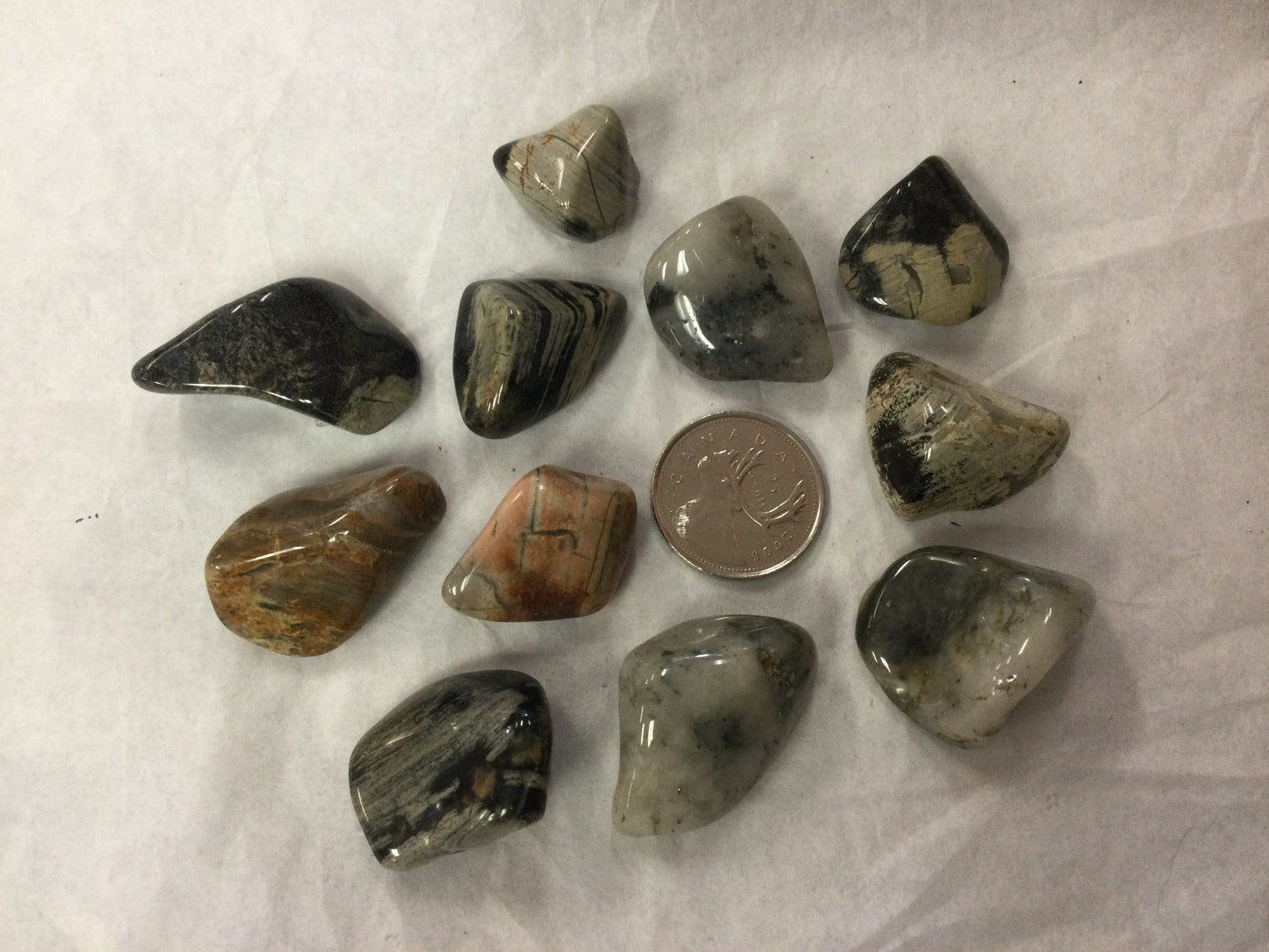 Silver Leaf Jasper