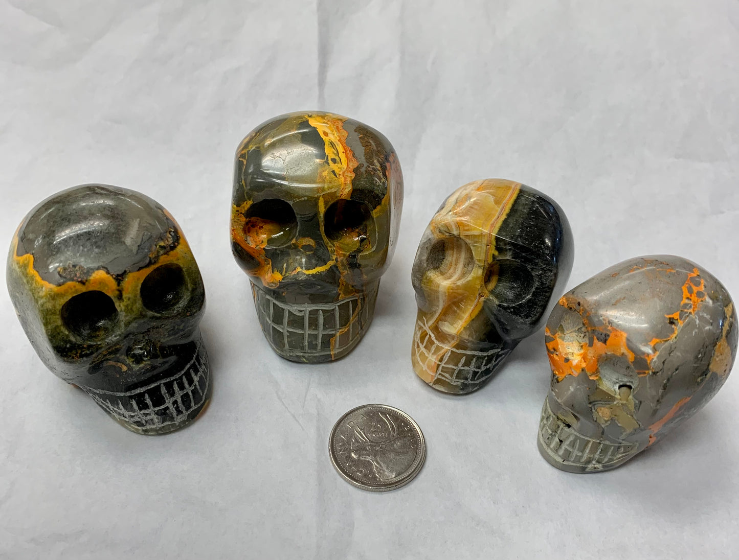 Bumblebee Jasper Skull