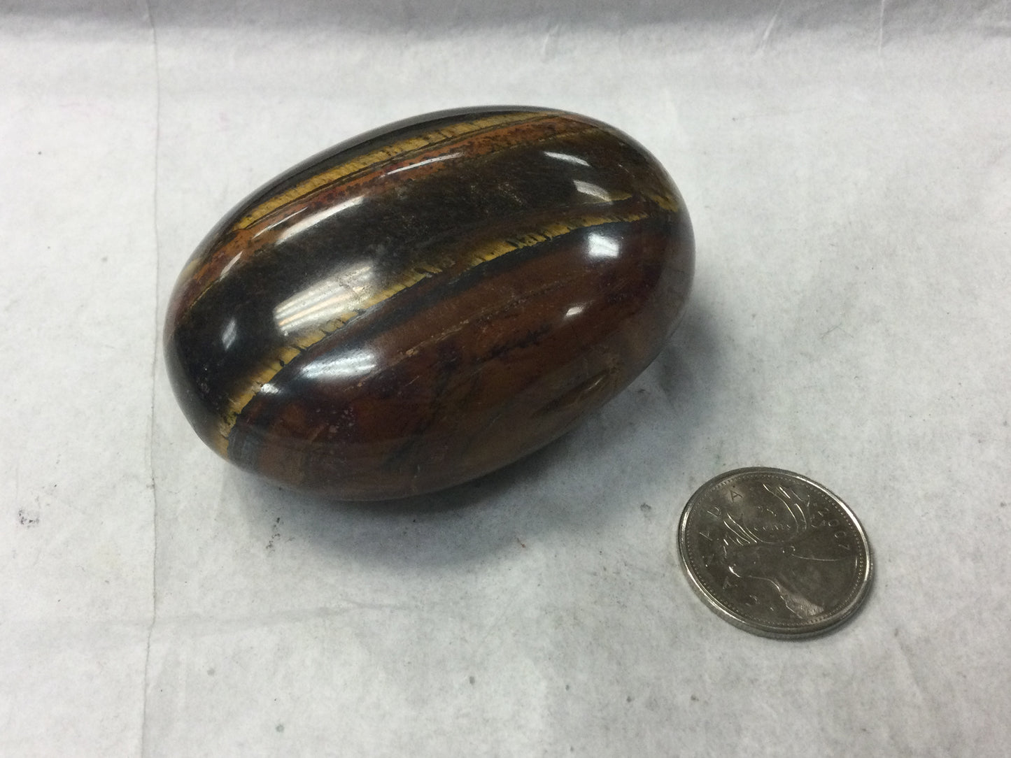 Large Tiger Eye Palm stone