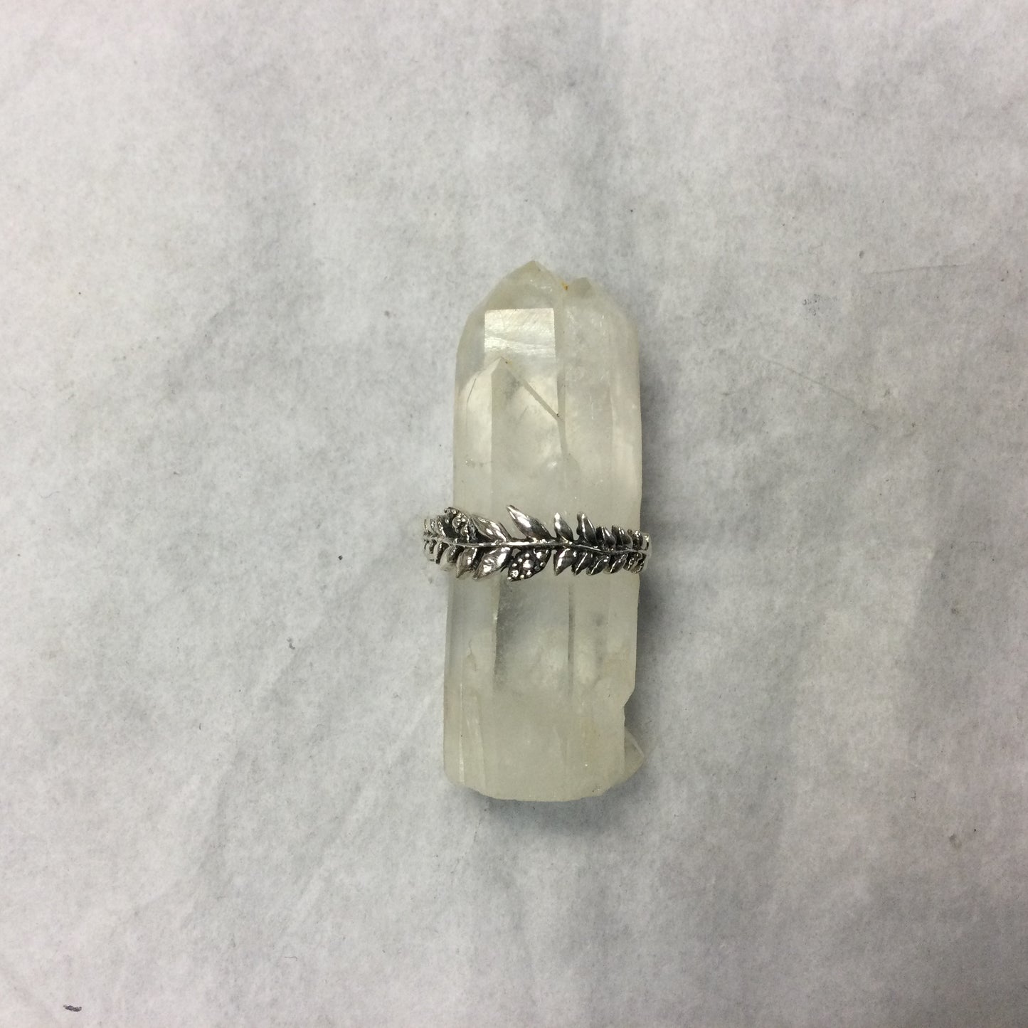 Silver Vine Ring