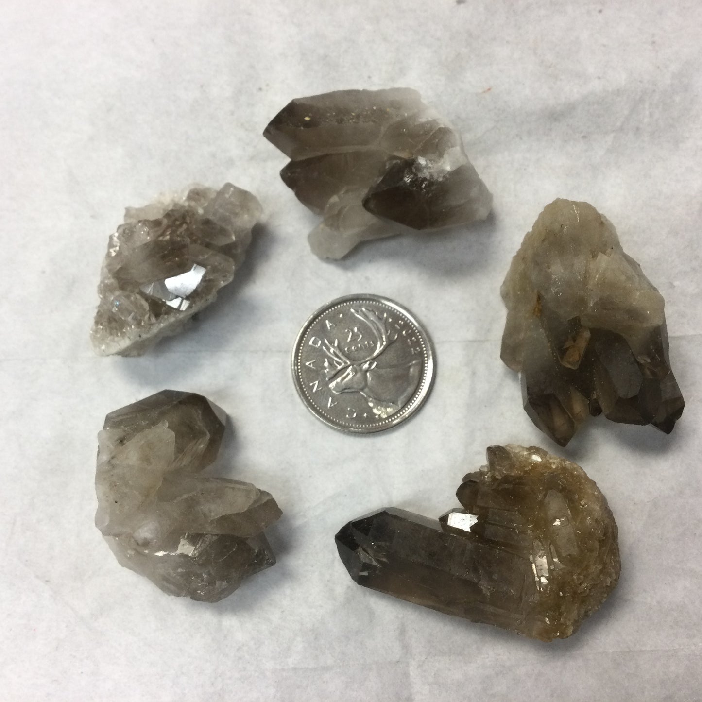 Rough Smoky Quartz Clusters