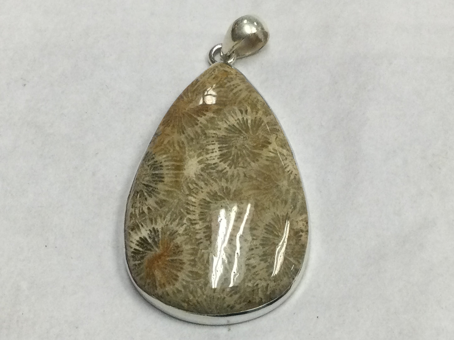 Teardrop Fossilized Coral Pendant