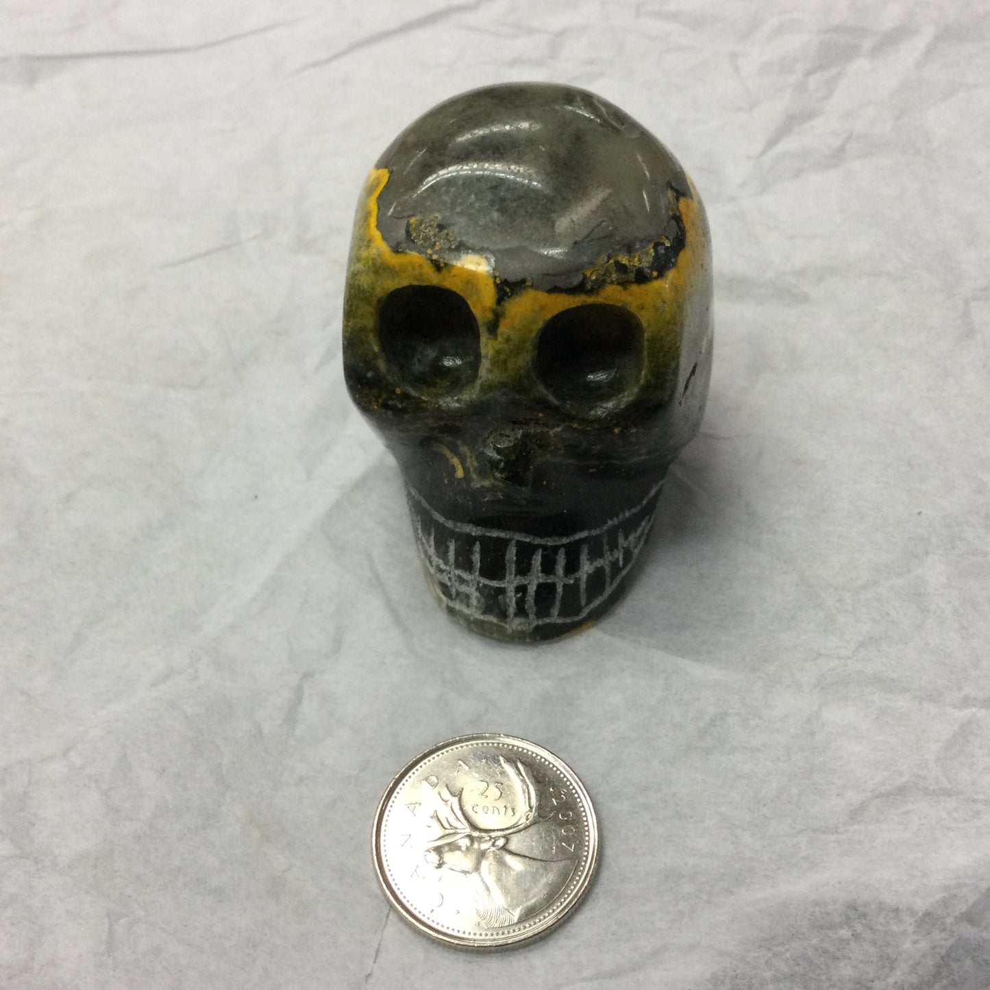 Bumblebee Jasper Skull