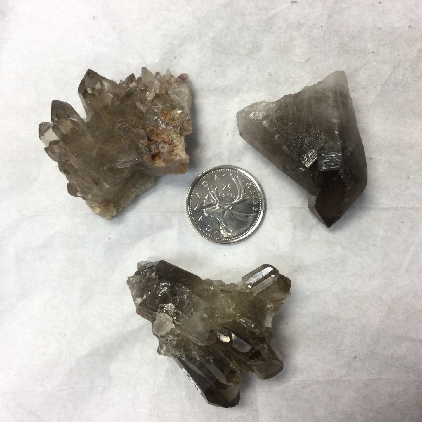 Rough Smoky Quartz Clusters