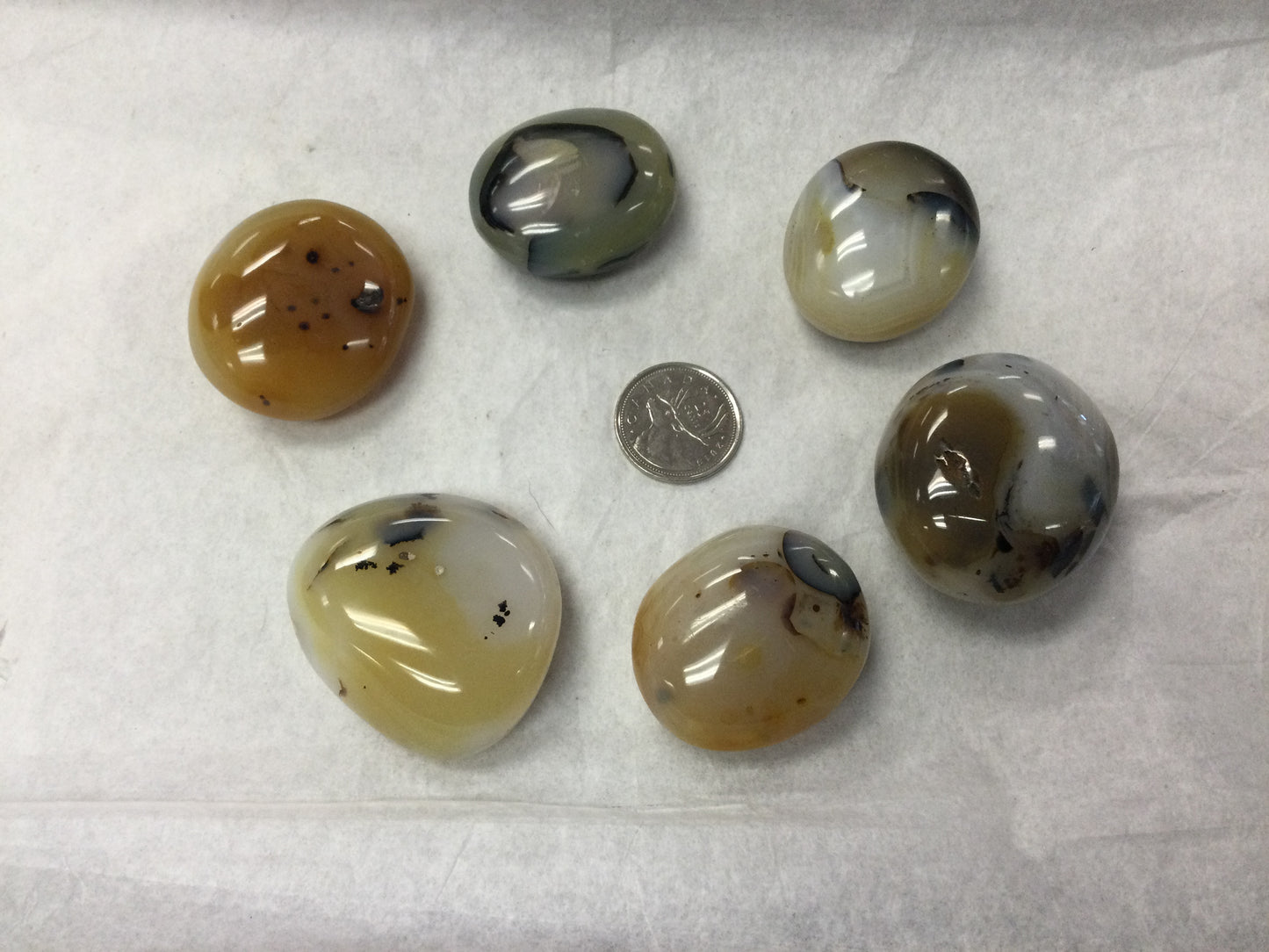 Dendritic Agate Palm Stone