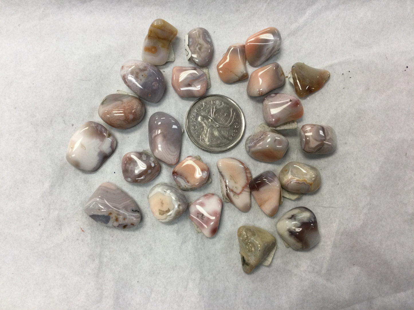 Botswana Agate, Tumbled Small