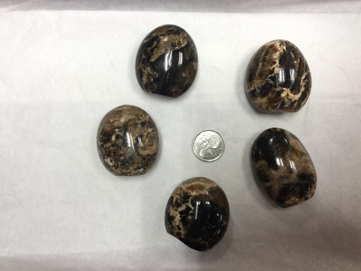 Black opal Freeform self standin