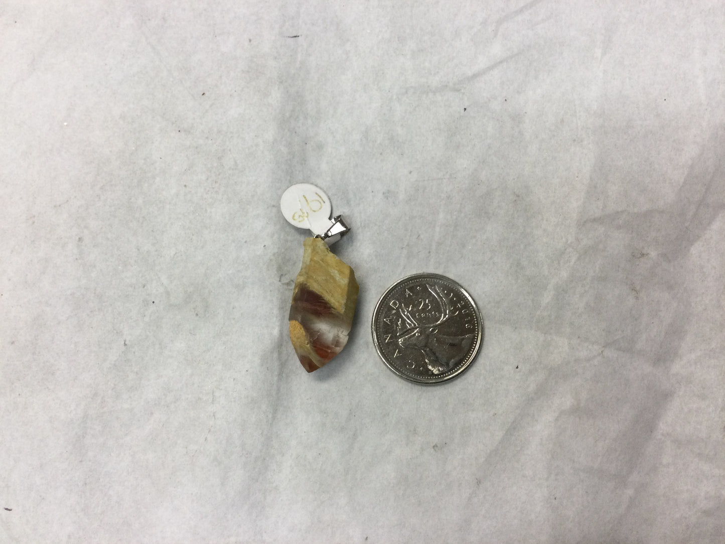 Rooster Booster (Lemurian Amphobole) Pendant