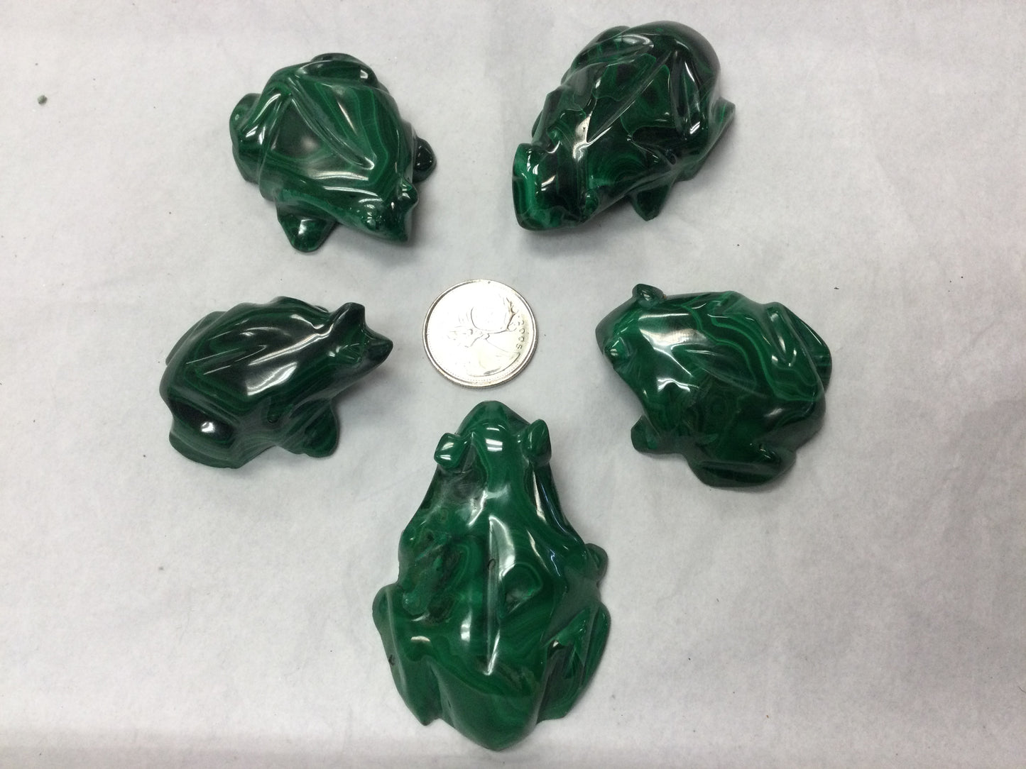 Malachite Frog